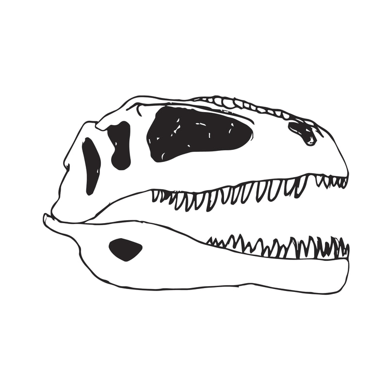 1. Fossils